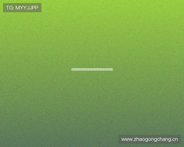 乐视体育直播平台创新升级深度解析全新观看体验与功能亮点